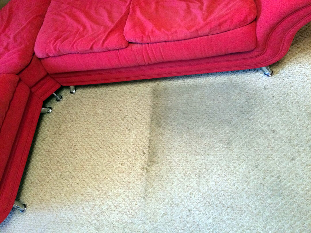 Загрязненное ковровое покрытие и диван